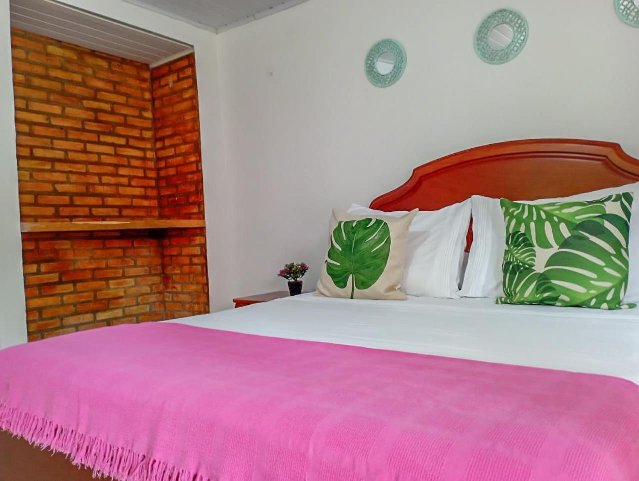 San Jose House Hotel เลติเซีย ภายนอก รูปภาพ